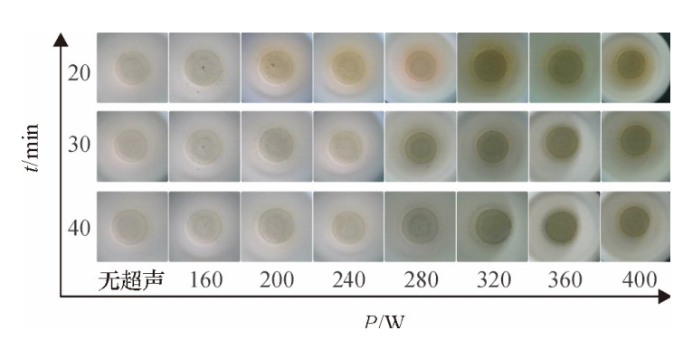 圖5不同密閉消解時間、不同超聲功率的消解效果