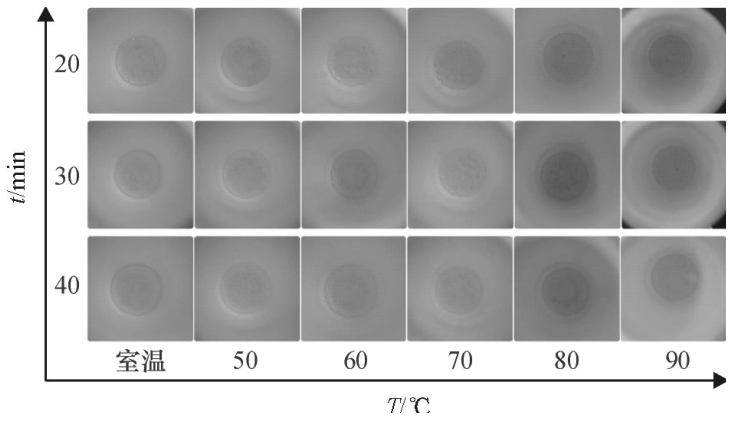 圖6不同密閉消解時間、不同水浴溫度的消解效果