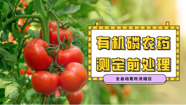 消解案例分享：全自動氮吹濃縮氮吹儀對有機磷農(nóng)藥殘留分析